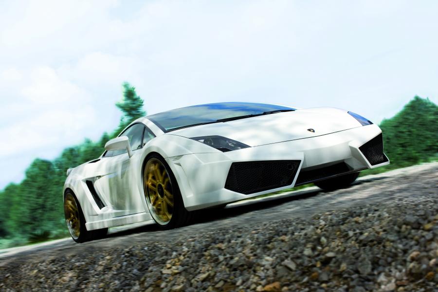  Lamborghini Gallardo LP560 GTV by IMSA 2009 года  (фото 22 из 24)